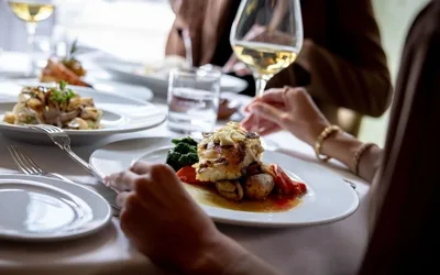 Author Talk with Laura Knoy