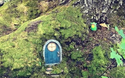 Fairy House Building