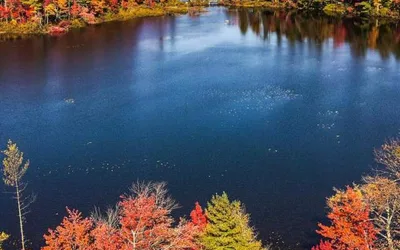Fall Foliage Festival