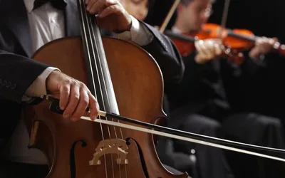 Friday Fish Fry Is Back