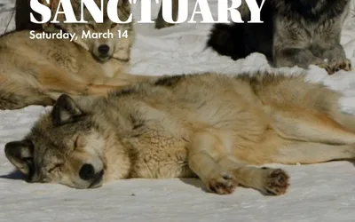 Hike & Wolf Sanctuary