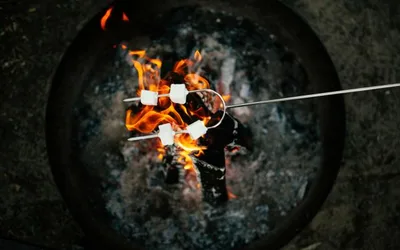 Lawn Games & Campfire S'Mores