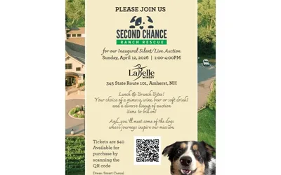 Live & Silent Auction Fundraiser