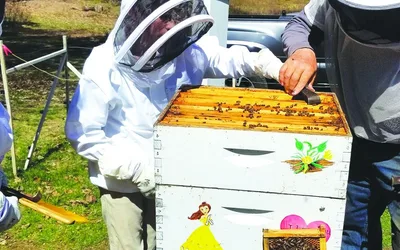 Pemi-Baker Beginner Bee School