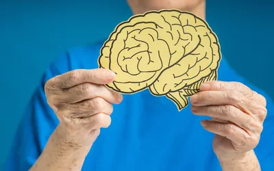 The Healthy Brain