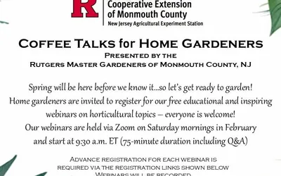 What’s the Chatter about Winter Sowing?