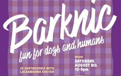Barknic: Fun for Dogs & Humans
