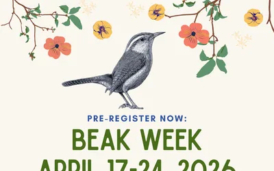 Beak Week 2026