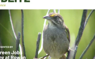 BioBlitz at The Edelman Fossil Park