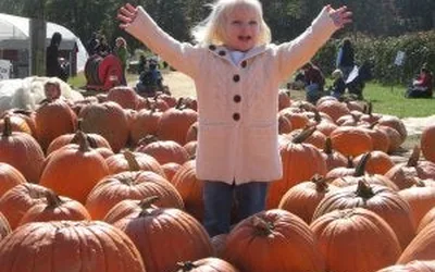 Fall Family Fun Weekends at Terhune Orchards