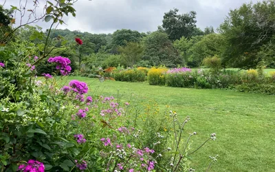 Fall Wildflower Walk at NJ Botanical Garden