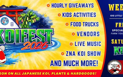 Koi Fest