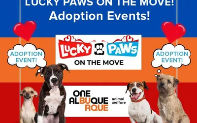 Lucky Paws on the Move!