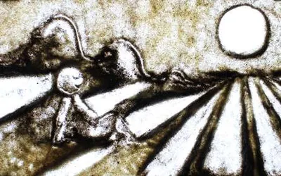 Native Lens Indigenous Film Showcase