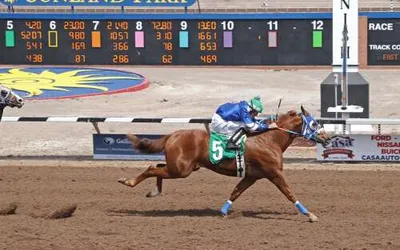 New Mexican Spring Futurity
