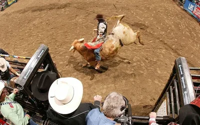 PBR - Unleash the Beast