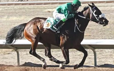 SunRay Park Opening Day