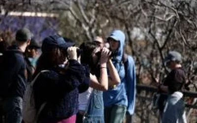 Birding: Spring Migration