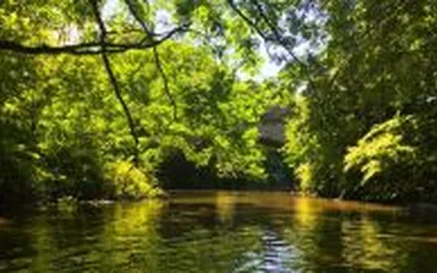 Climate Week NYC Documentary Screening: River Restoration & Climate Resilience