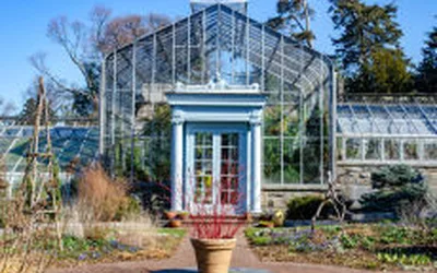 Conservatory Family Exploration Day
