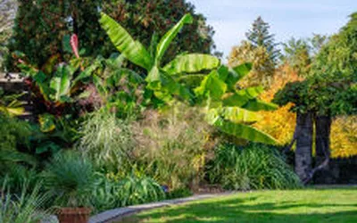 Garden Highlights Walk