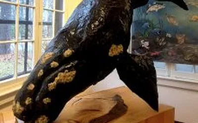 Think Global. Act Local.