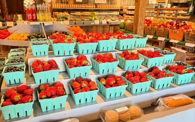 Wallkill View Farm Reopening