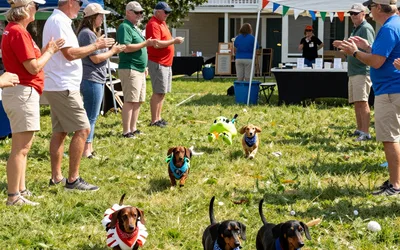 Dachtoberfest