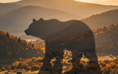 Shadow of the Bear