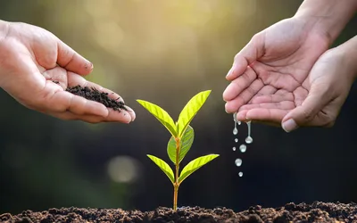 2026 Master Gardener Symposium "Get Your Soil Right"