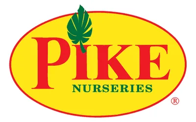 Bees, Butterflies & Beyond