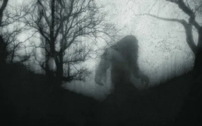 Bigfoot in the Park