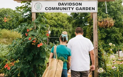 Davidson Farmer’s Market