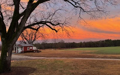 Drive-In Movie Double Feature