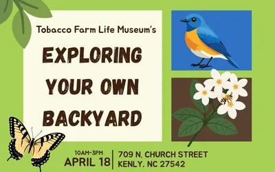 Exploring Your Own Backyard