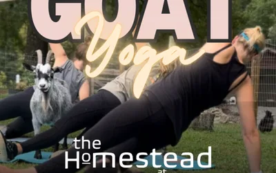Goat Yoga