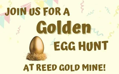 Golden Easter Egg Hunt at Reed Gold Mine