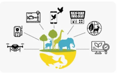 Illuminating AI Night