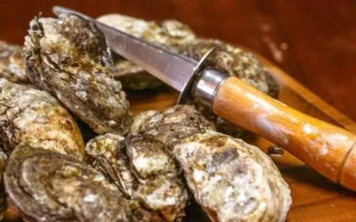 Oyster Roast at Dirtbag