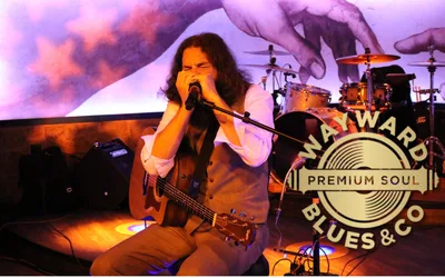 The Wayward Blues & Co. LIVE
