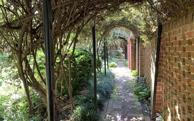 Wildlife @ Wing Haven