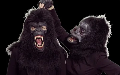 Guerrilla Girls Talk