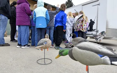 Junior Duck Stamp Program Art Contest