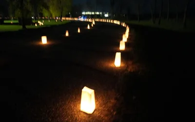 Luminary Walk & Pumpkin Carving Contest