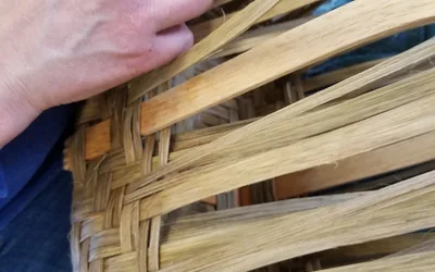 Guild Show and Tell