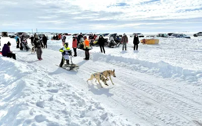 Snowkings' Winter Festival