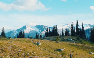 Train For The Trails