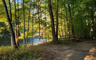 2026 Trail Challenge