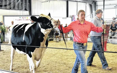 Auglaize County Fair Livestock Sale