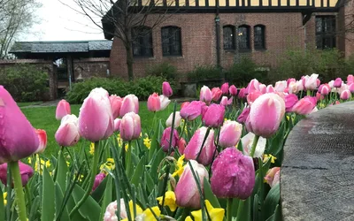 Easter Egg Hunts at Stan Hywet Hall & Gardens